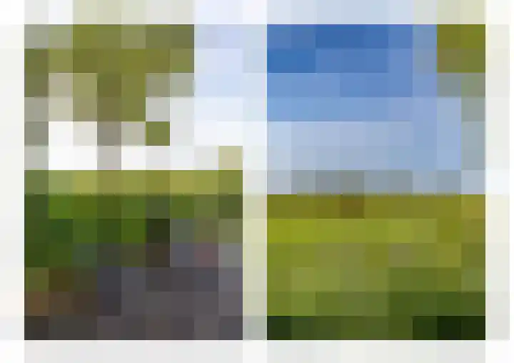 Groningerweg 64 Peize thumbnail 47