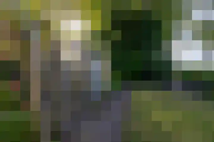 Groningerweg 64 Peize thumbnail 48