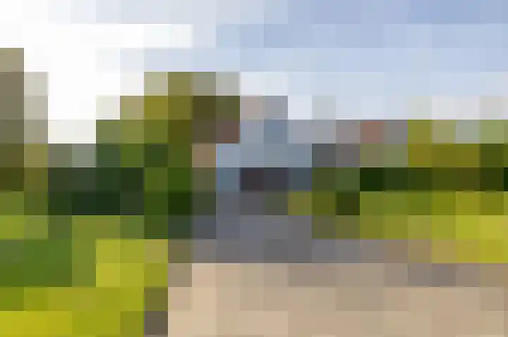Groningerweg 64 Peize thumbnail 49