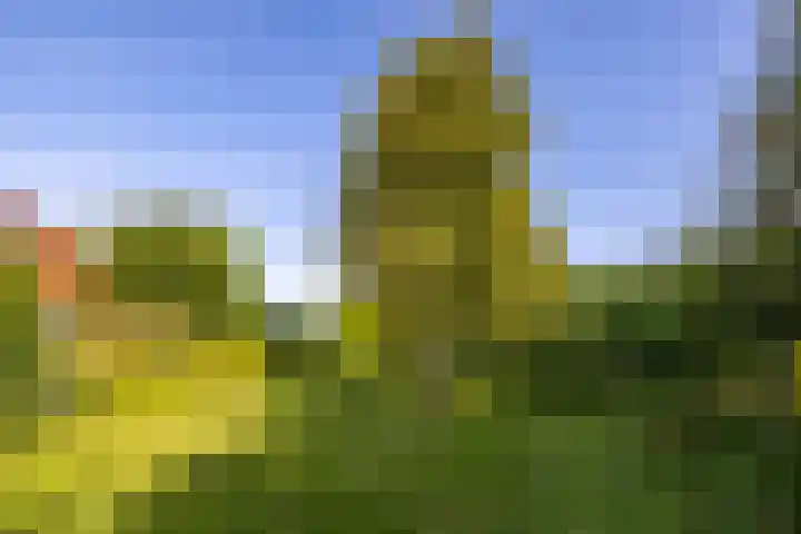 Groningerweg 64 Peize thumbnail 5
