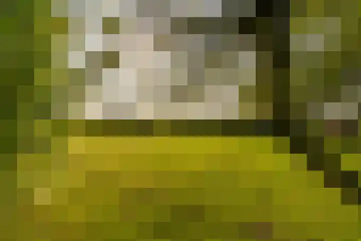 Groningerweg 64 Peize thumbnail 6