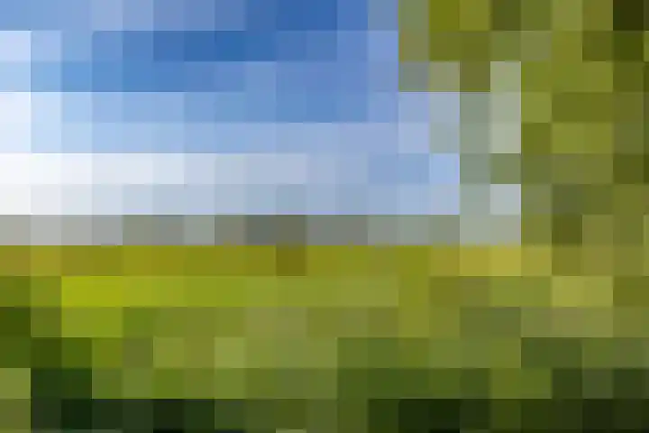 Groningerweg 64 Peize thumbnail 7