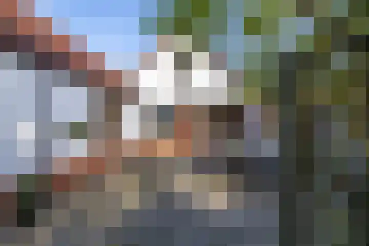 Groningerweg 64 Peize thumbnail 9