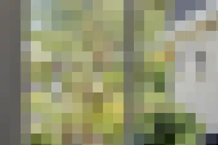 Groningerweg 65 Eelderwolde thumbnail 17