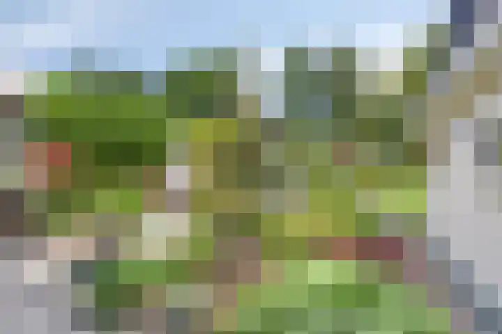 Groningerweg 65 Eelderwolde thumbnail 47