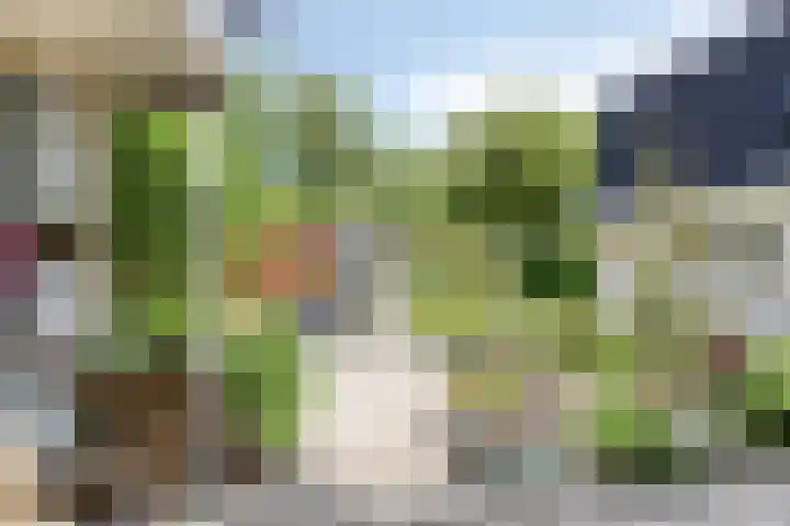 Groningerweg 65 Eelderwolde thumbnail 48