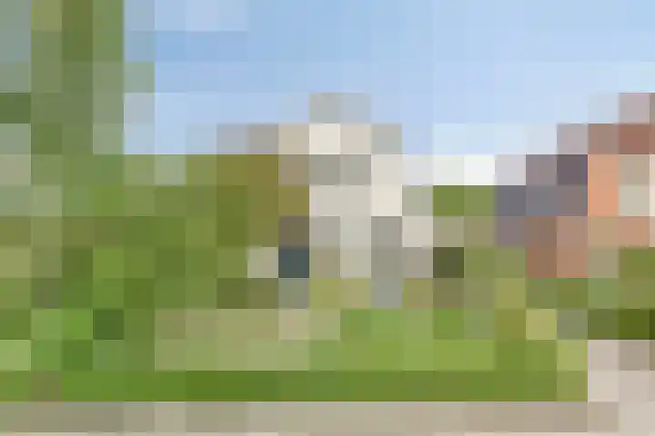 Groningerweg 65 Eelderwolde thumbnail 5