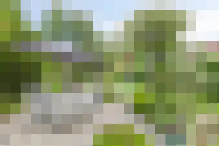 Groningerweg 65 Eelderwolde thumbnail 51