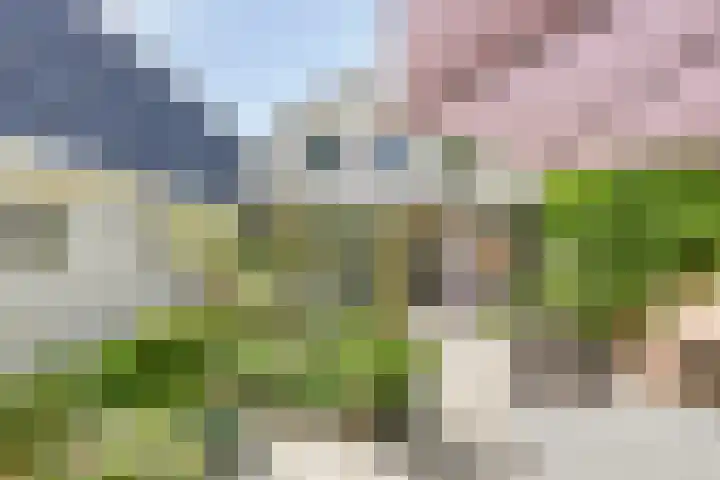 Groningerweg 65 Eelderwolde thumbnail 52