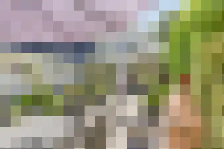 Groningerweg 65 Eelderwolde thumbnail 53