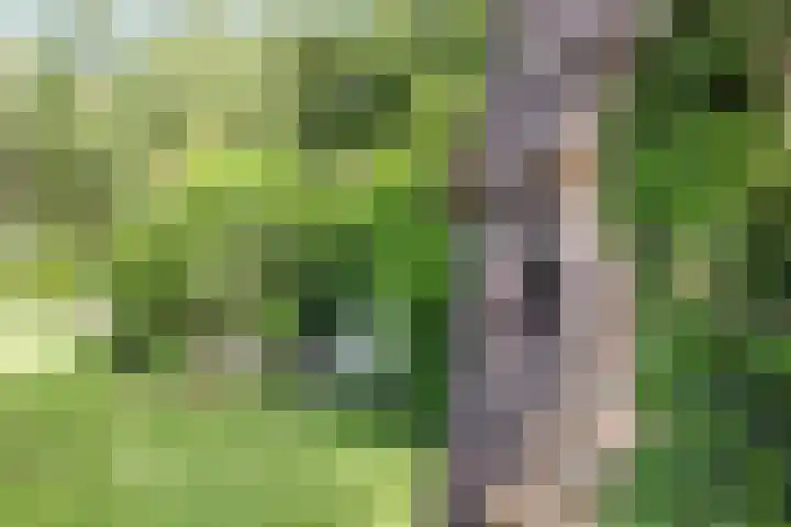Groningerweg 65 Eelderwolde thumbnail 54
