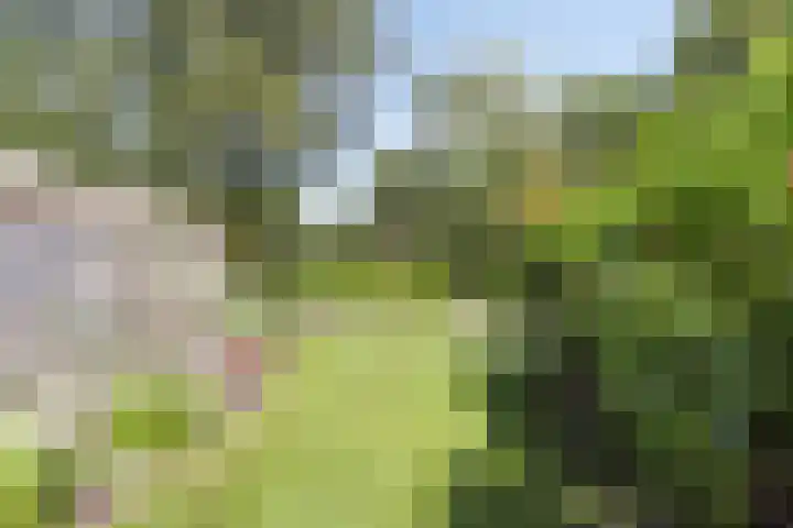Groningerweg 65 Eelderwolde thumbnail 56