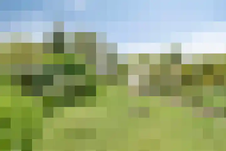 Groningerweg 65 Eelderwolde thumbnail 57