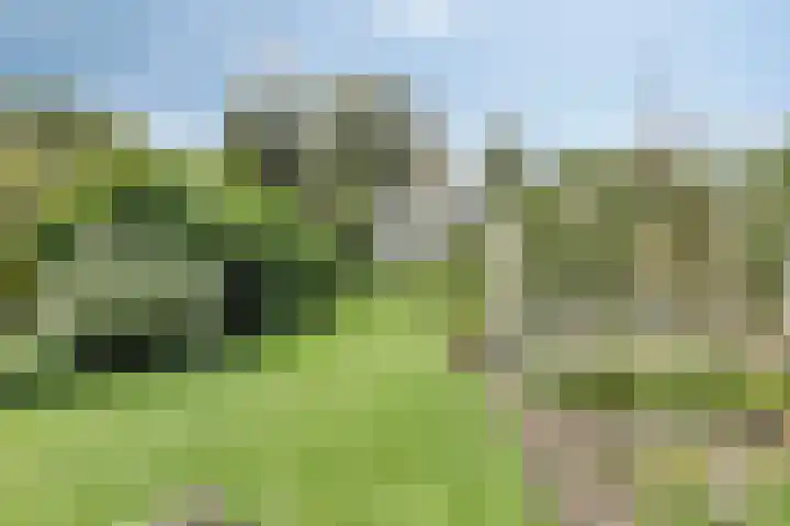 Groningerweg 65 Eelderwolde thumbnail 58