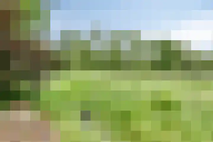 Groningerweg 65 Eelderwolde thumbnail 59
