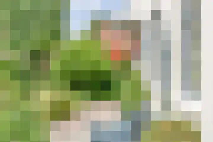 Groningerweg 65 Eelderwolde thumbnail 6