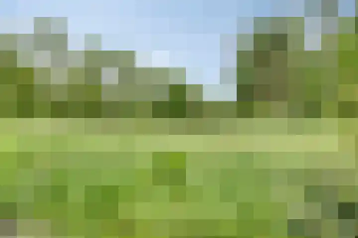 Groningerweg 65 Eelderwolde thumbnail 60