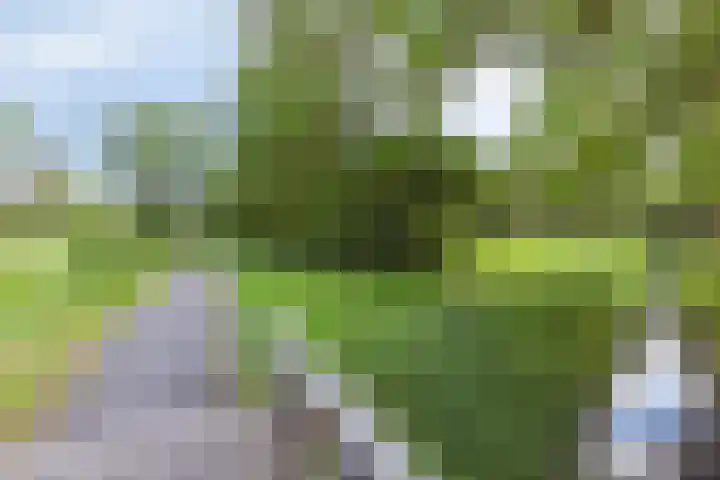 Groningerweg 65 Eelderwolde thumbnail 61