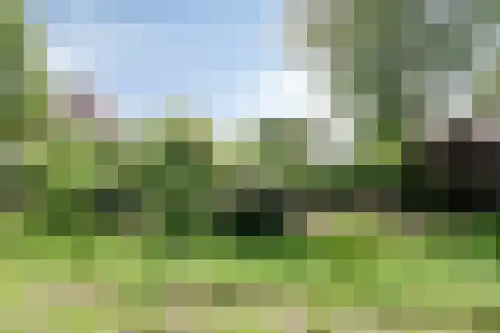 Groningerweg 65 Eelderwolde thumbnail 62