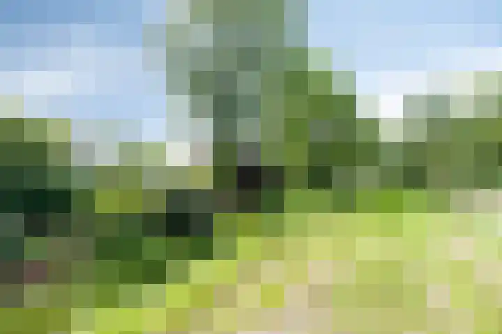 Groningerweg 65 Eelderwolde thumbnail 63