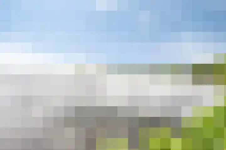 Groningerweg 65 Eelderwolde thumbnail 64