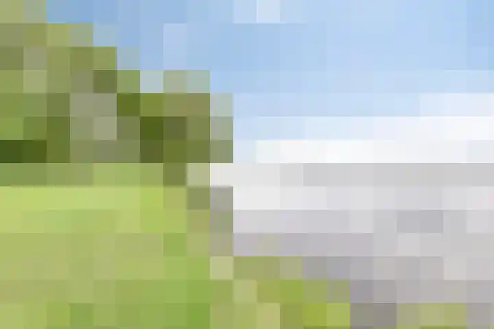 Groningerweg 65 Eelderwolde thumbnail 65