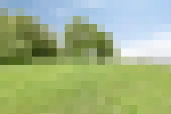 Groningerweg 65 Eelderwolde thumbnail 66