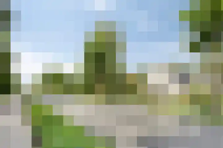 Groningerweg 65 Eelderwolde thumbnail 69