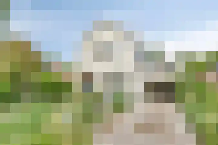 Groningerweg 65 Eelderwolde thumbnail 74