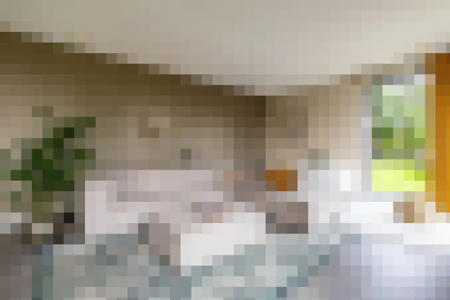 Groningerweg 80 Eelderwolde thumbnail 15