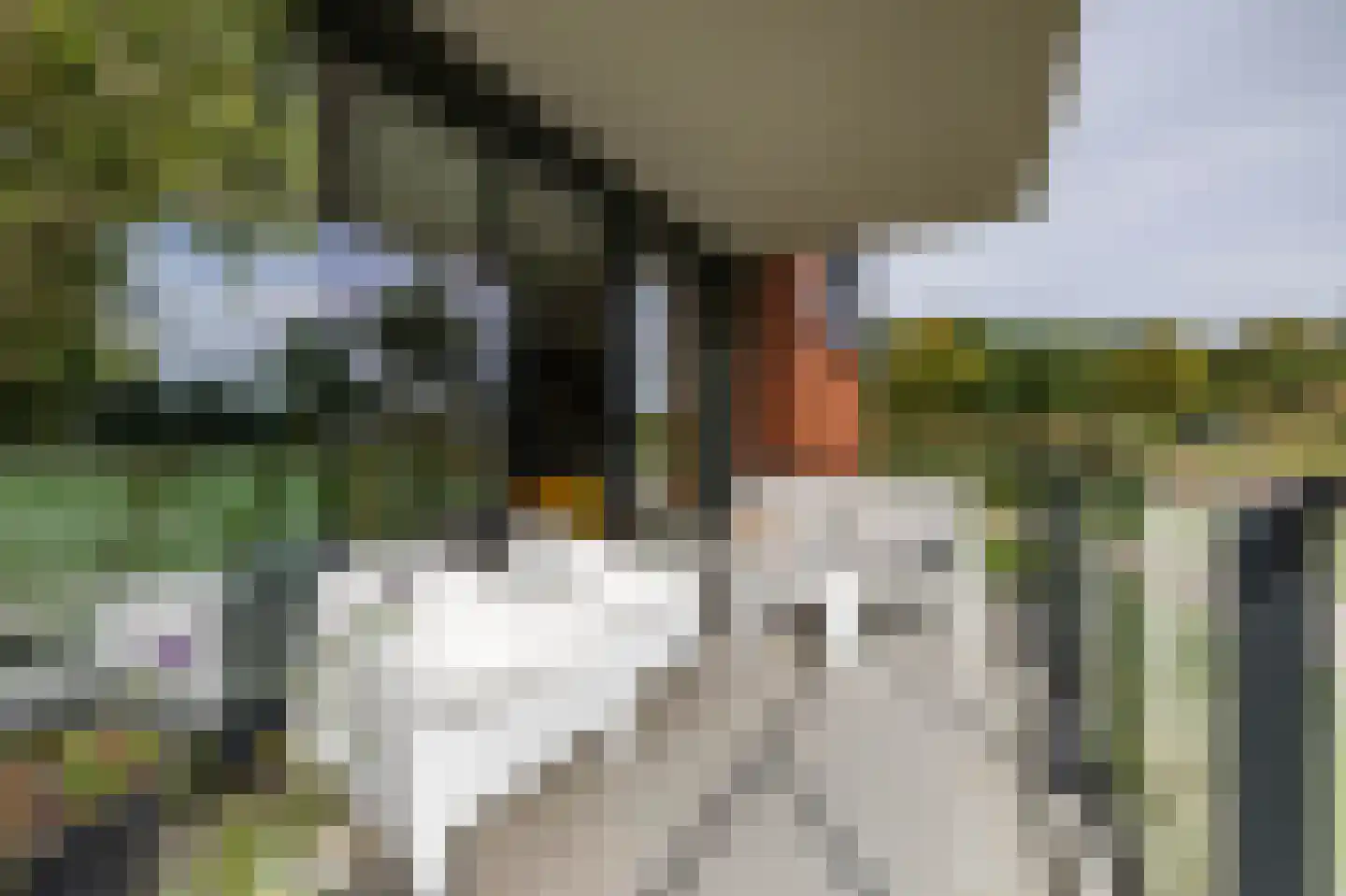 Groningerweg 80 Eelderwolde thumbnail 19