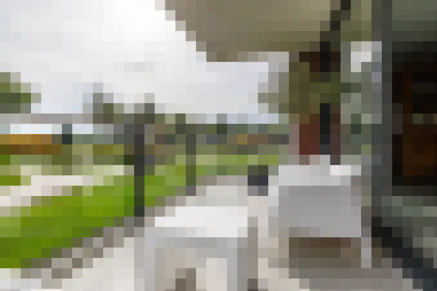 Groningerweg 80 Eelderwolde thumbnail 20