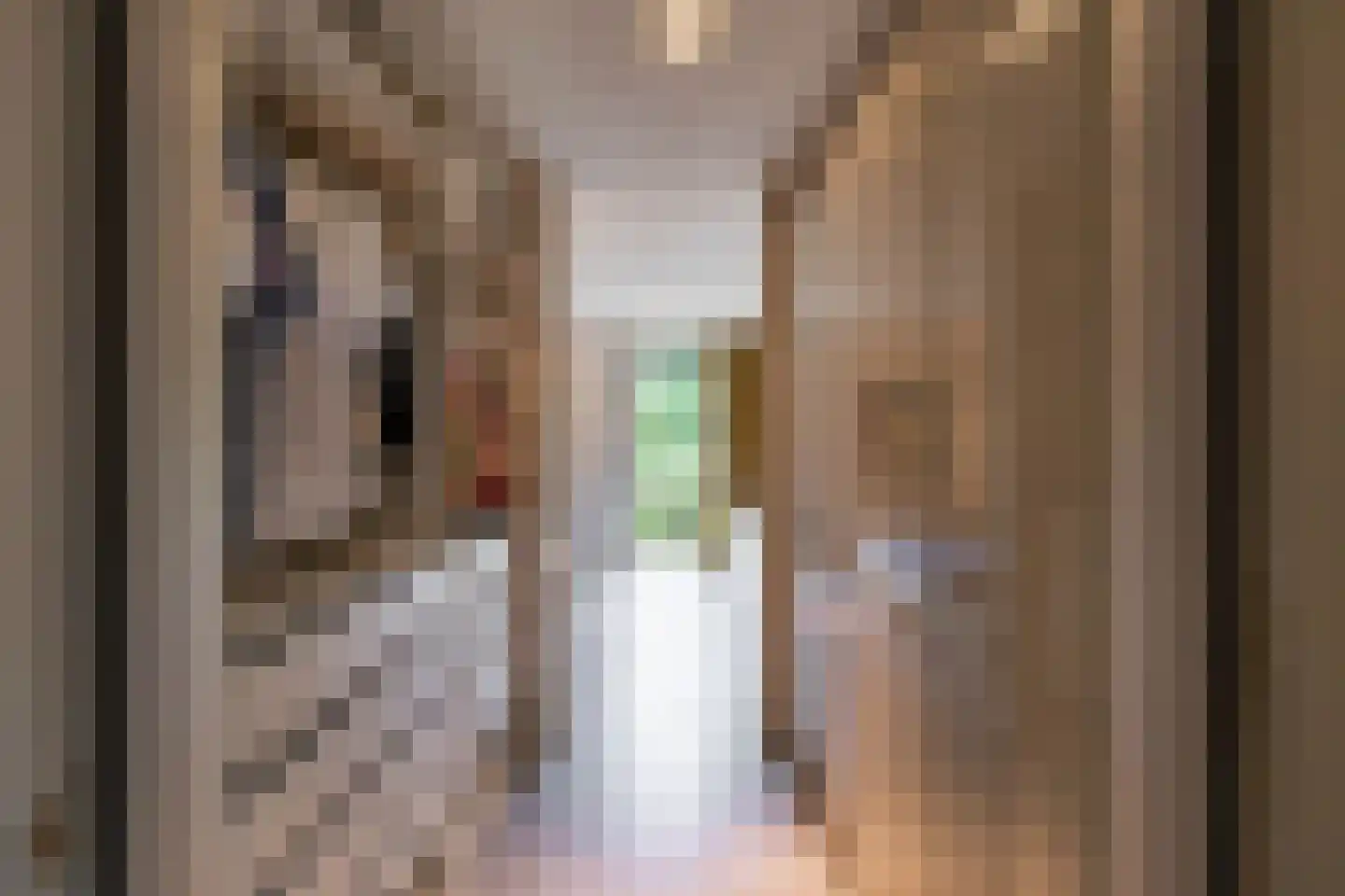 Groningerweg 80 Eelderwolde thumbnail 27