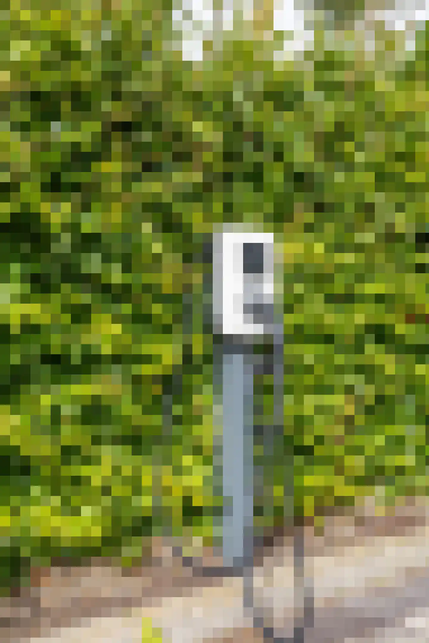 Groningerweg 80 Eelderwolde thumbnail 39