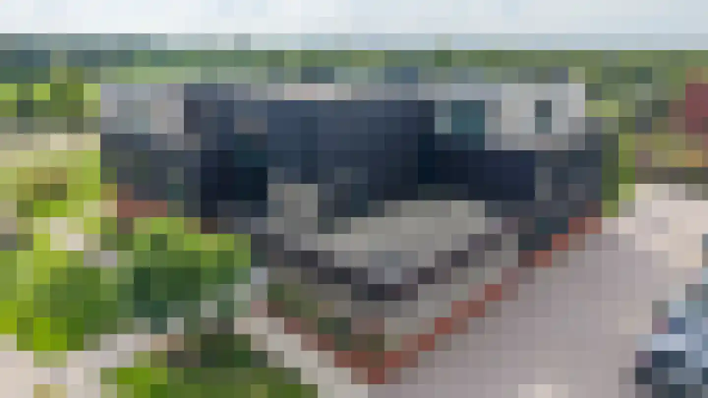 Groningerweg 80 Eelderwolde thumbnail 4