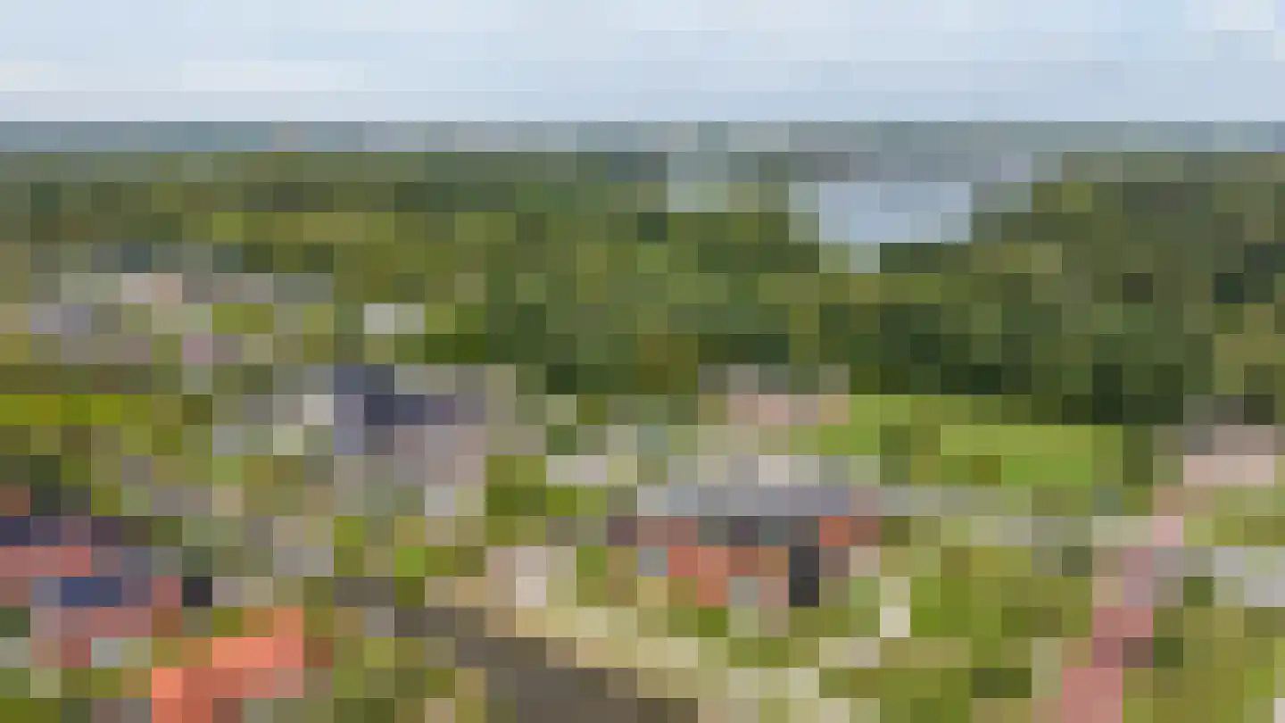 Groningerweg 80 Eelderwolde thumbnail 40