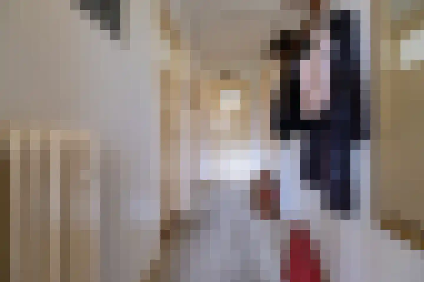 Groningerweg 9 Paterswolde thumbnail 12