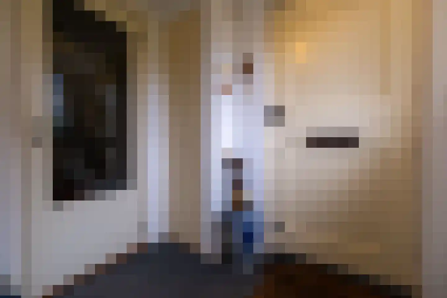 Groningerweg 9 Paterswolde thumbnail 13