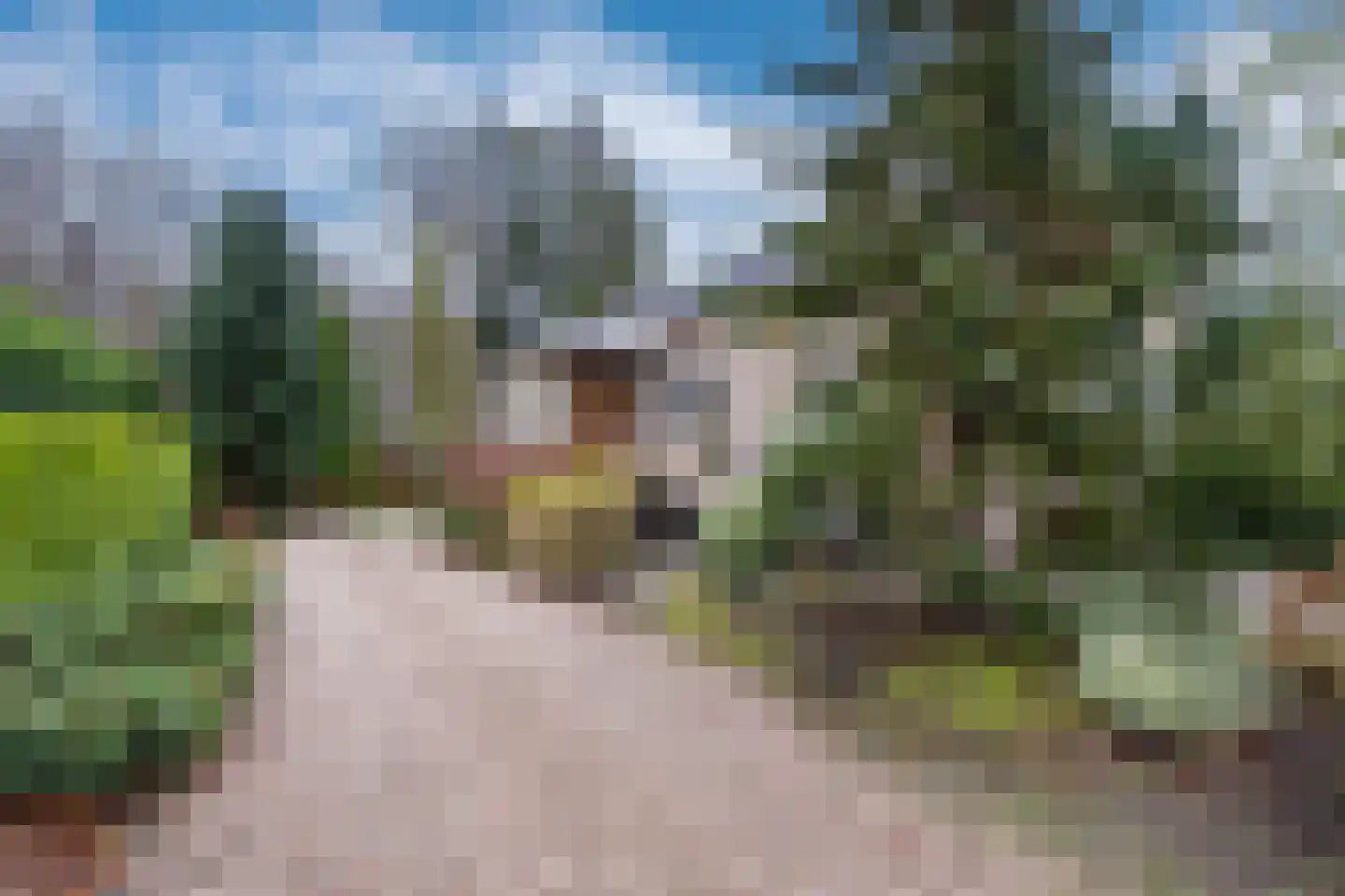 Groningerweg 9 Paterswolde thumbnail 24