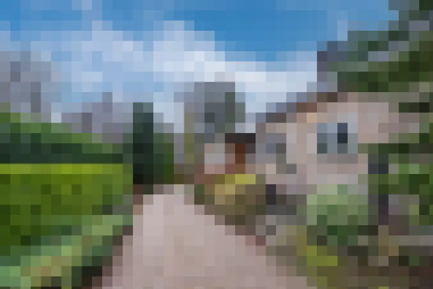 Groningerweg 9 Paterswolde thumbnail 26