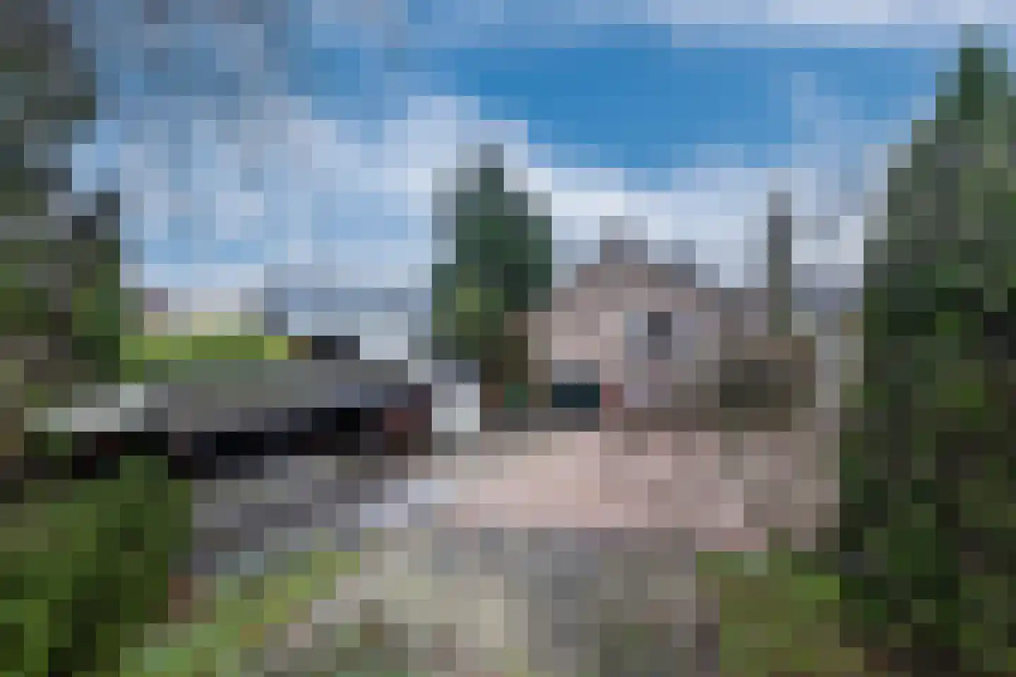 Groningerweg 9 Paterswolde thumbnail 27