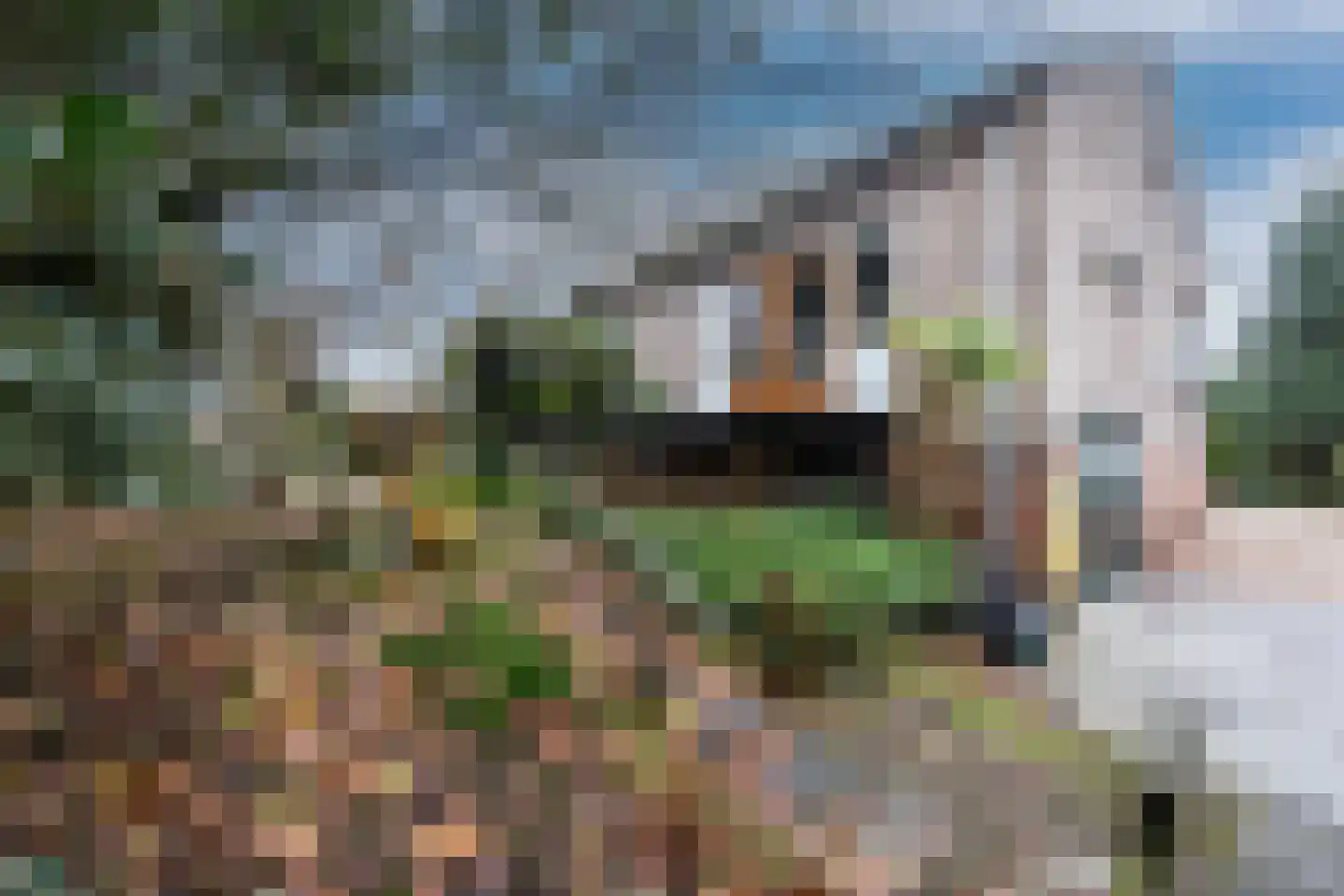 Groningerweg 9 Paterswolde thumbnail 33