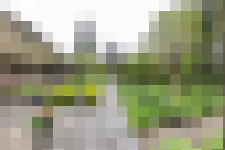 Groningerweg 99 Eelderwolde thumbnail 14