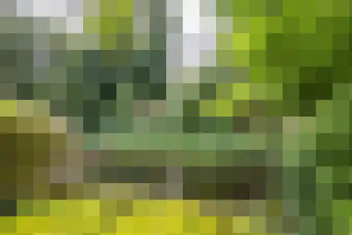 Groningerweg 99 Eelderwolde thumbnail 15