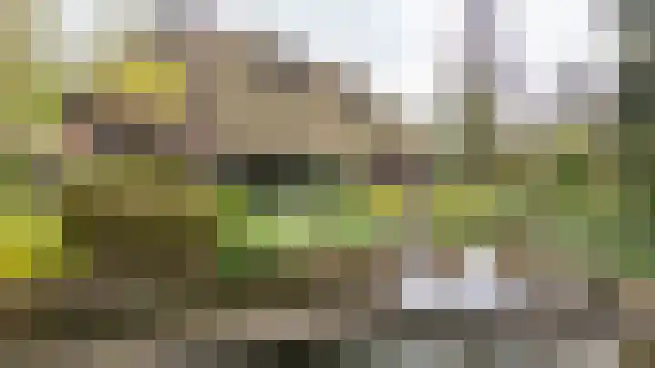 Groningerweg 99 Eelderwolde thumbnail 17