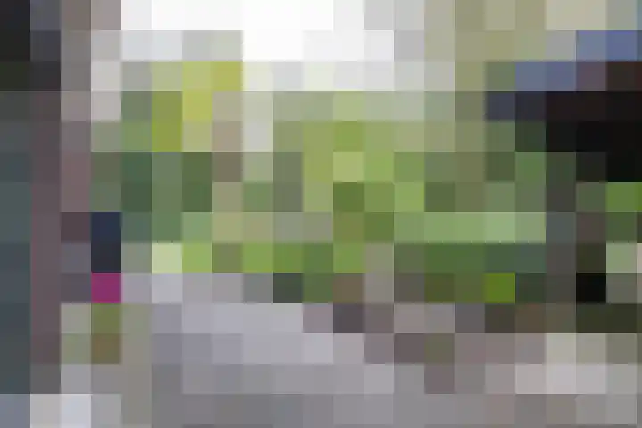 Groningerweg 99 Eelderwolde thumbnail 38