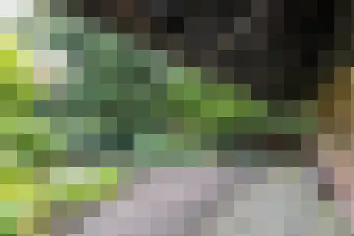 Groningerweg 99 Eelderwolde thumbnail 39