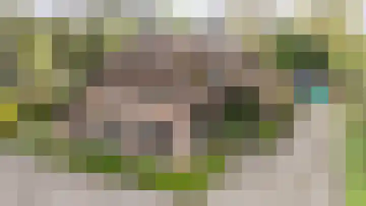 Groningerweg 99 Eelderwolde thumbnail 4