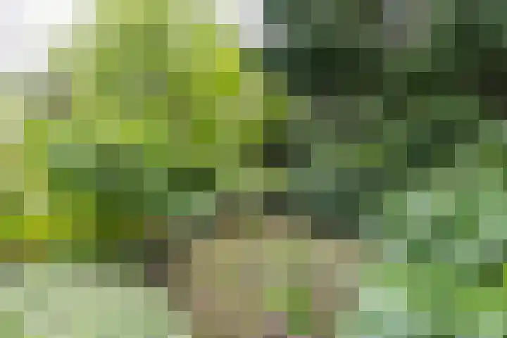 Groningerweg 99 Eelderwolde thumbnail 40