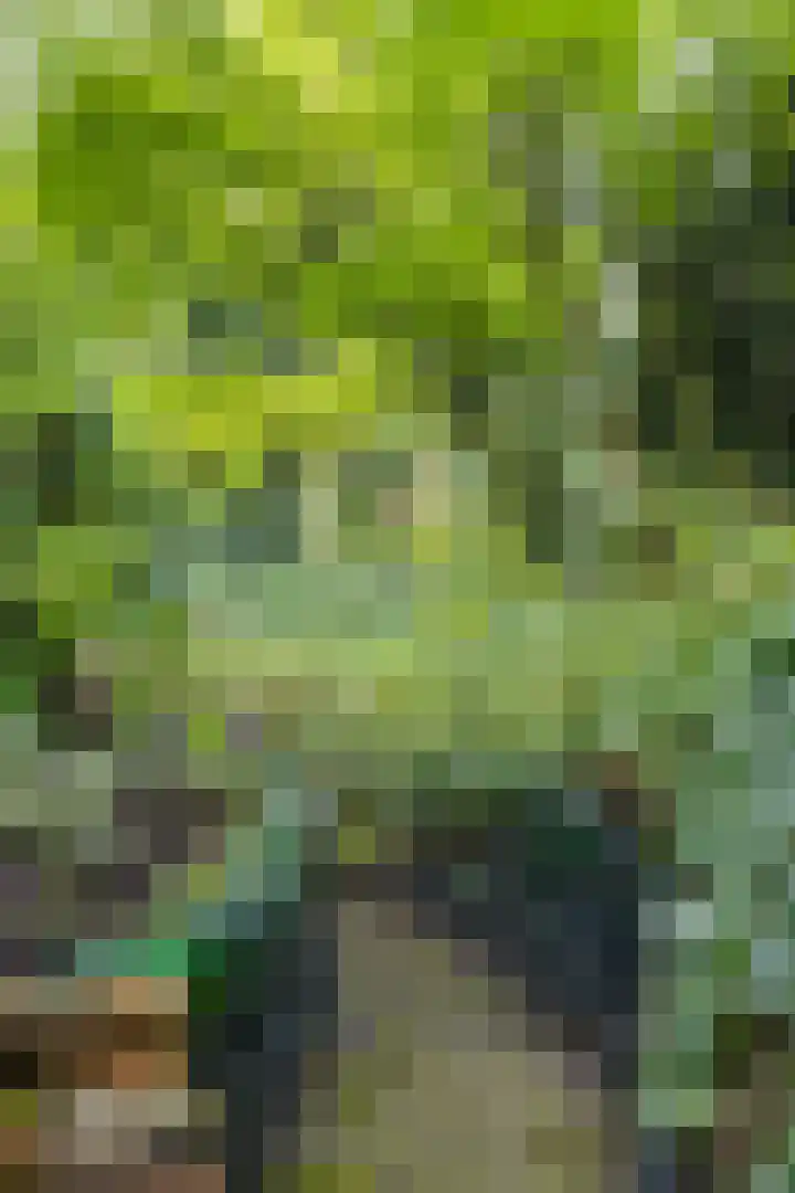 Groningerweg 99 Eelderwolde thumbnail 41